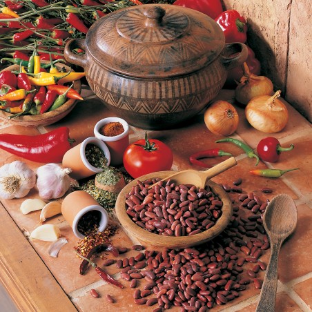 Proteline Plat à base de soja style Chili (7 x 33,5 g)