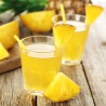Proteline Fat-burner arôme ananas 14 sticks